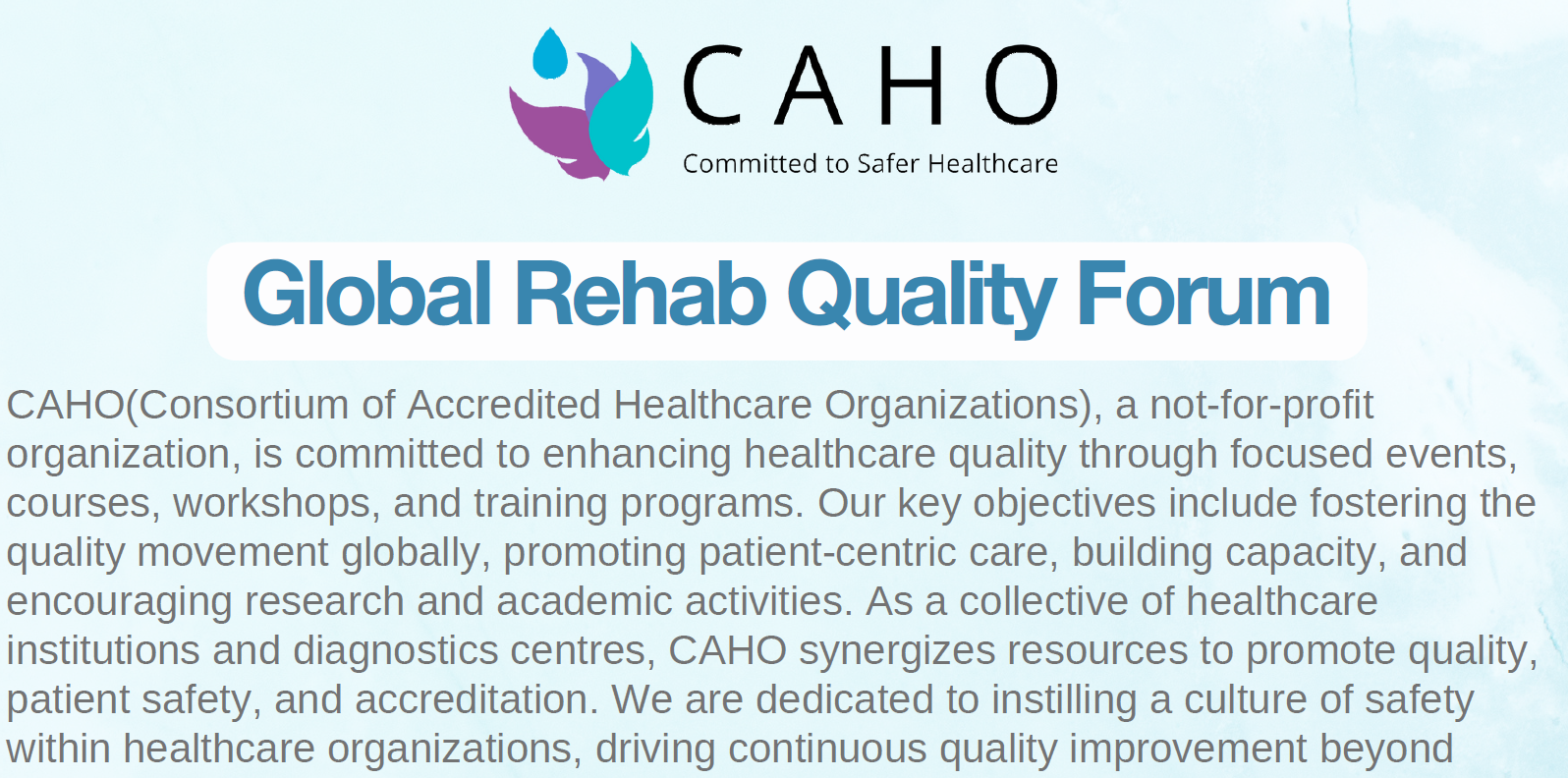 CAHO GLOBAL REHAB QUALITY FORUM DOCUMENT
